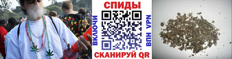 Купить где  Дмитриев  Бутират буратино 